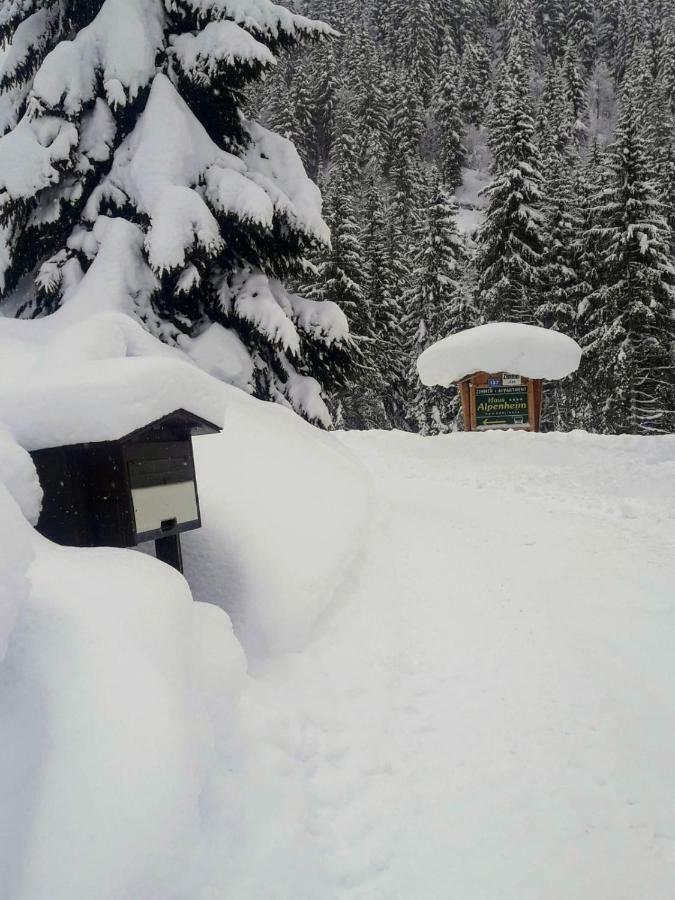 Haus Alpenheim Hotel Flachau Luaran gambar